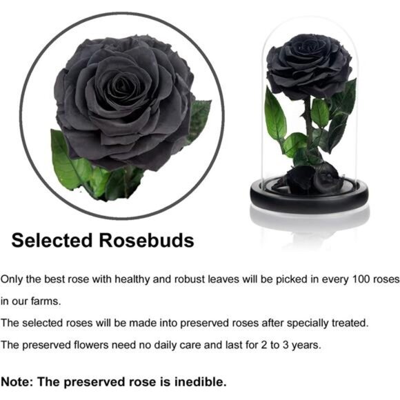 NATROSES Handmade Preserved Roses in Glass Dome, Long lasting Black Roses Real - Picture 4 of 16